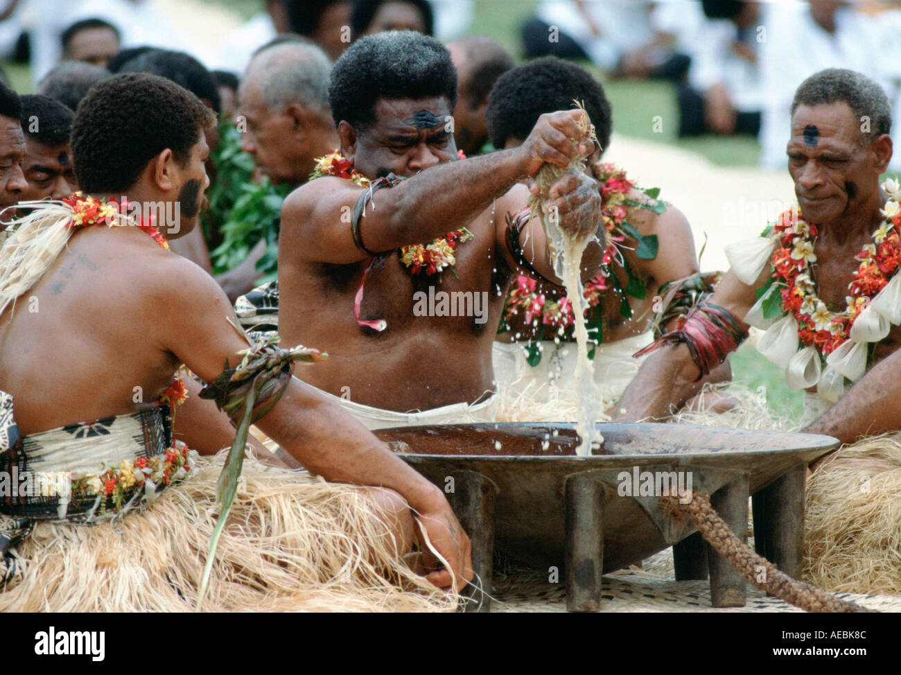 Preparing traditional Kava drink at ceremony Fiji South Pacific Stock Photo