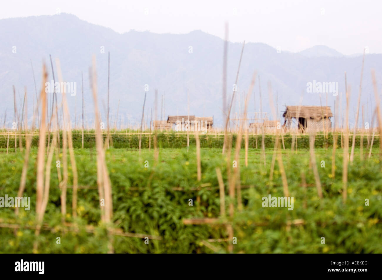 Homes on stilts Stock Photo Alamy