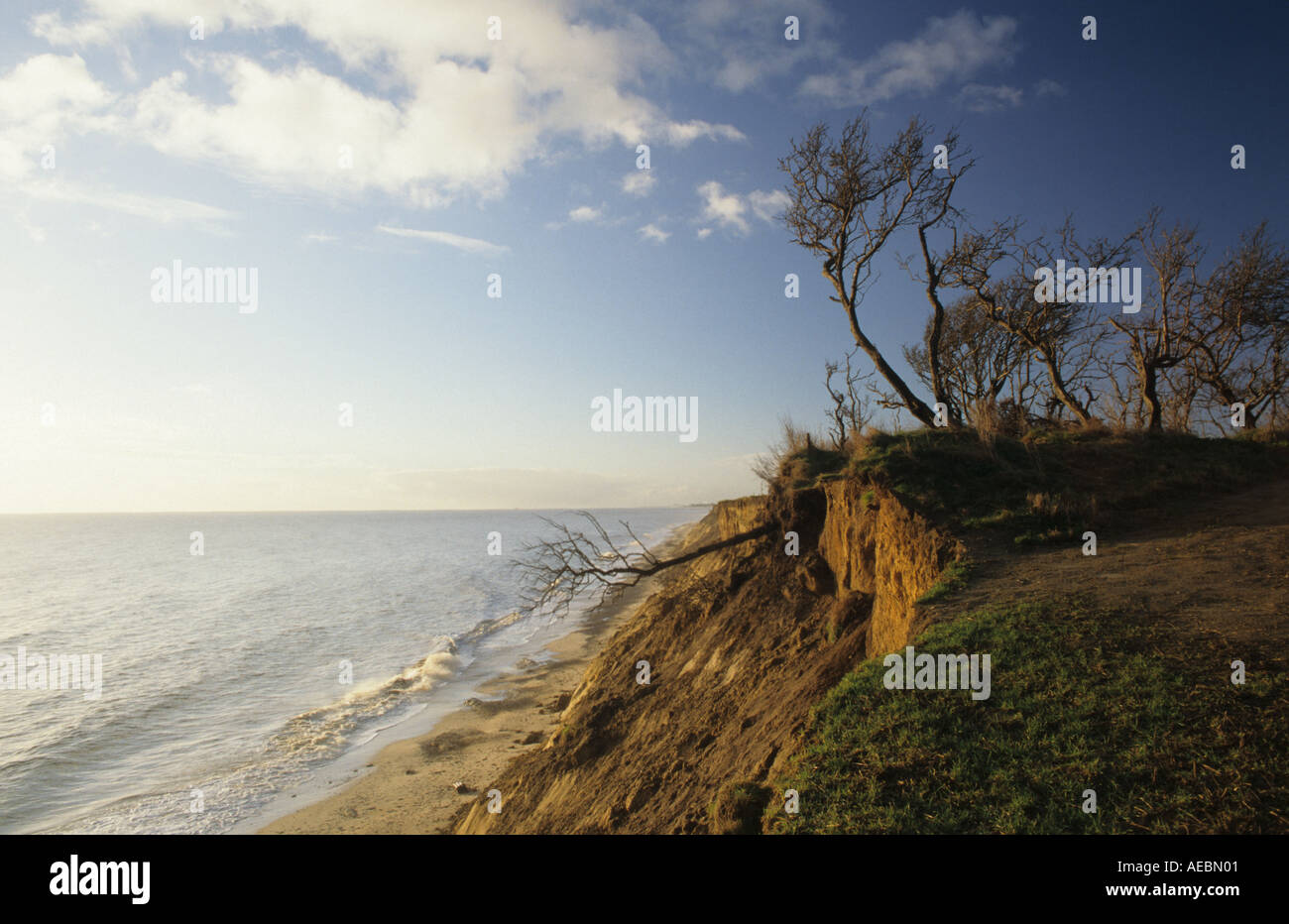 Coastal erosion on the East coast of England Stock Photo - Alamy