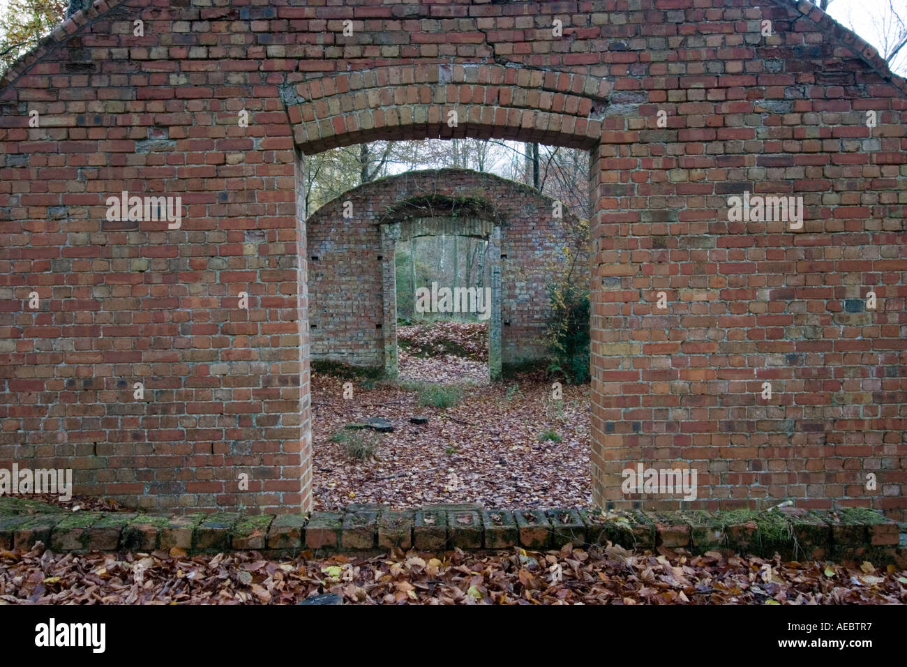 Tumbledown buildings in woodland hi-res stock photography and images ...