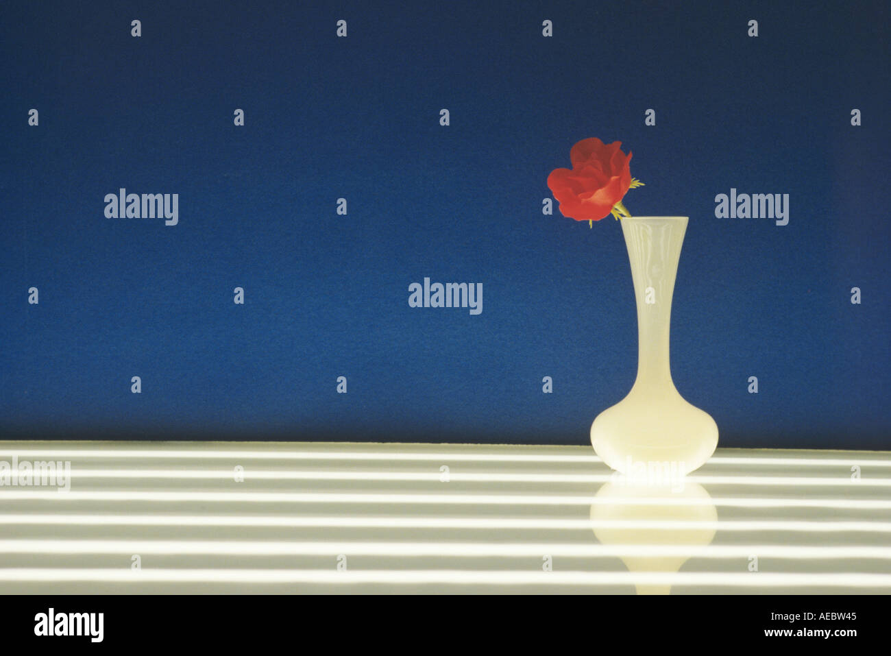 Single flower in a vase Stock Photo Alamy