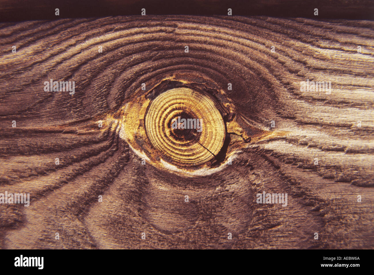 Wood knot Stock Photo Alamy