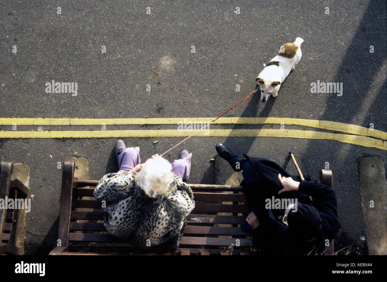 Two old ladies with dog hi-res stock photography and images - Alamy