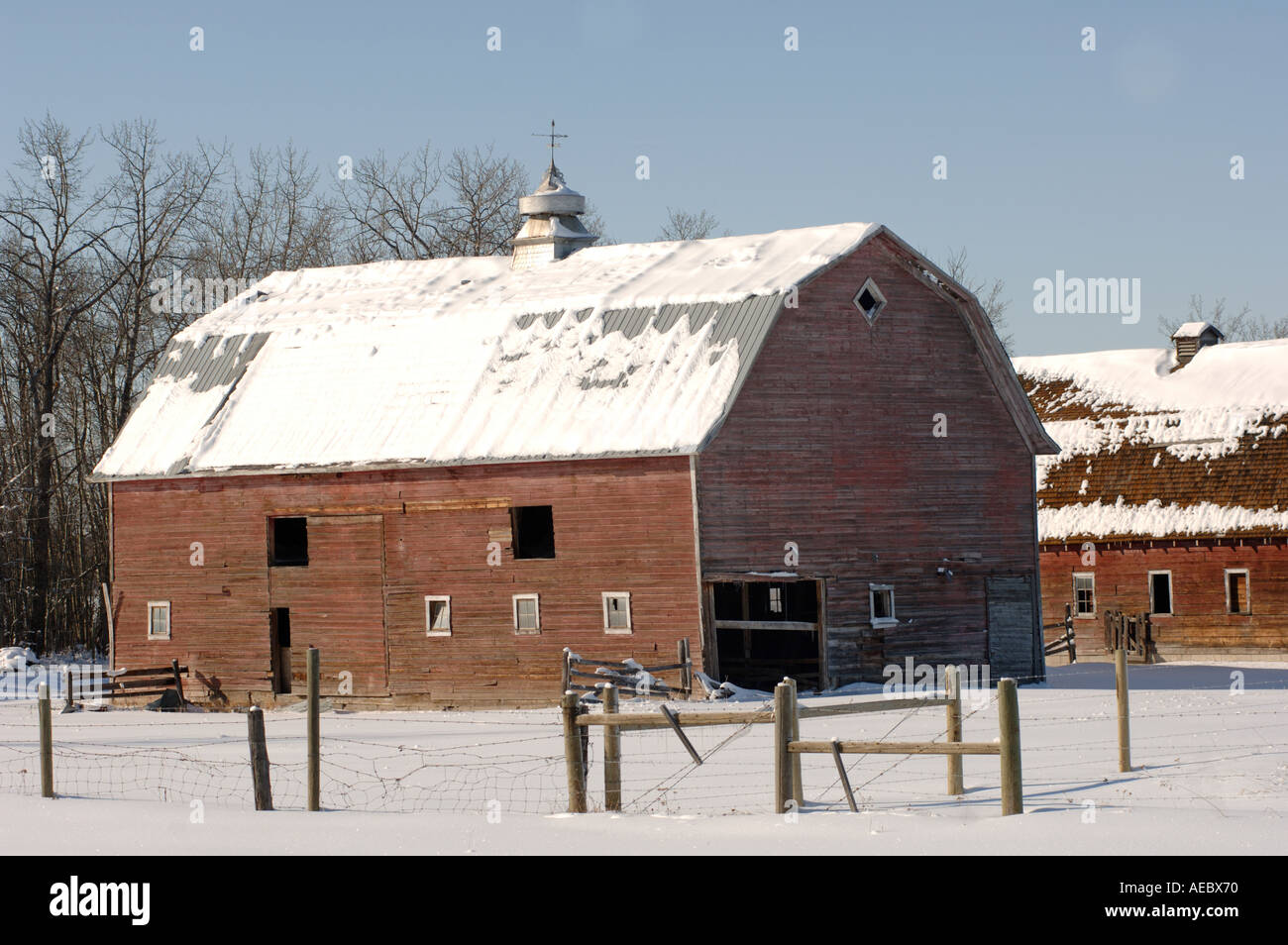 Snow Covered Derelict Barn In Alberta Canada Stock Photo 4451951