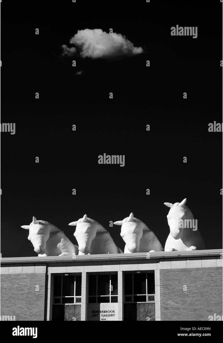 Fredericton art gallery hires stock photography and images Alamy