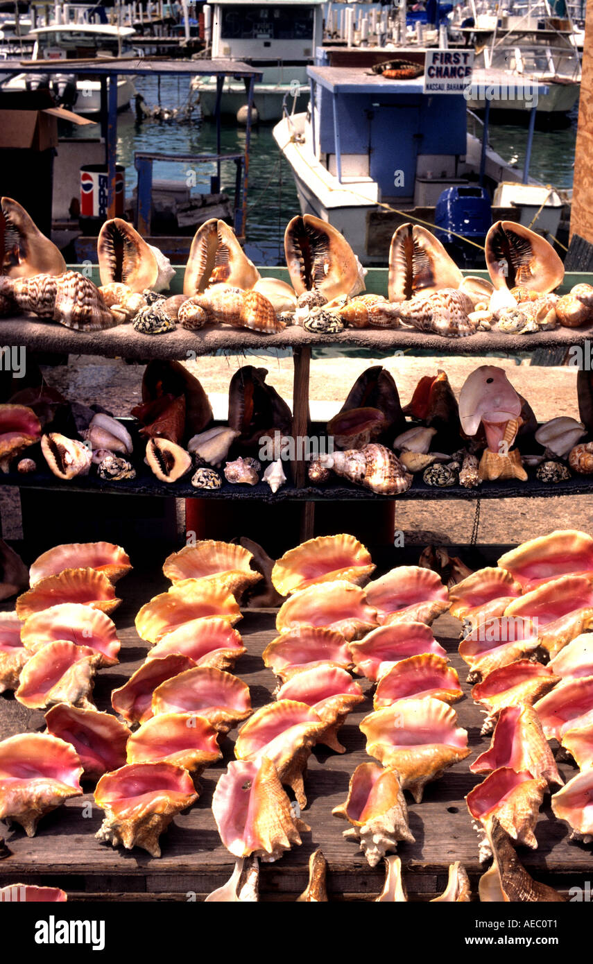 Nassau Bahama bahamas fish Conch market Stock Photo