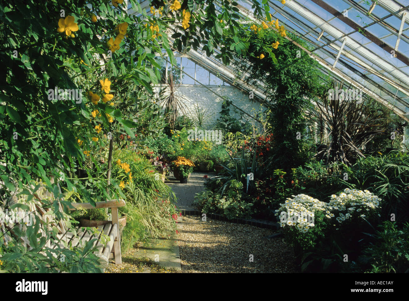 Denmans sussex john brookes garden hires stock photography and images