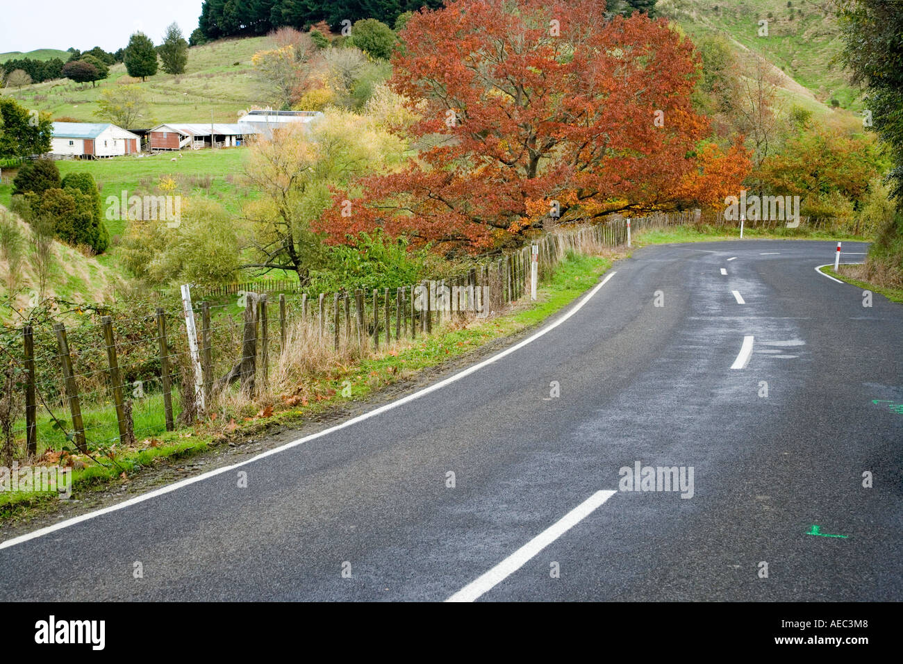 Forgotten World Highway Taumarunui Stratford King Country North Island New Zealand Stock Photo