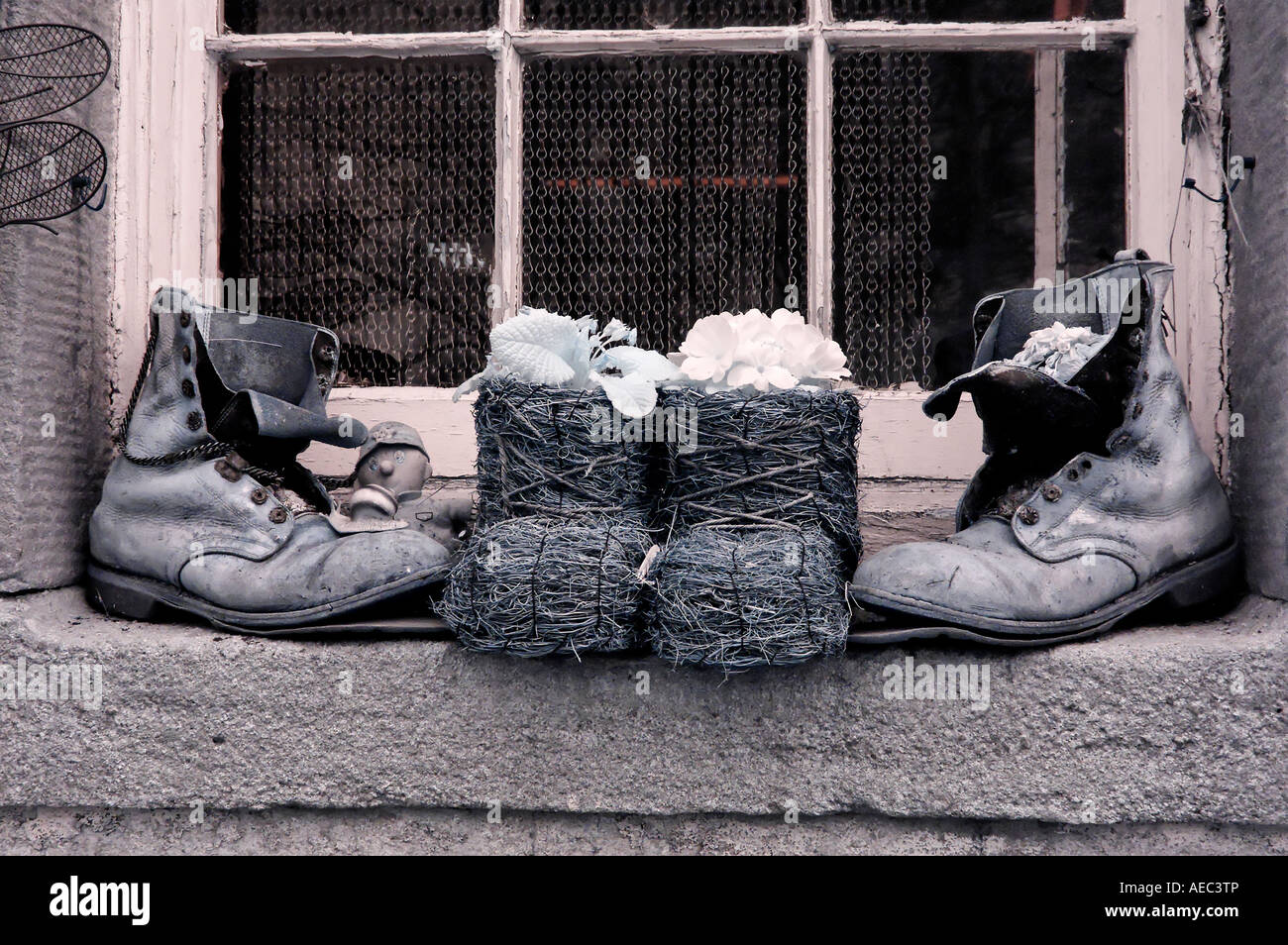 Flowers in Boots Stock Photo - Alamy