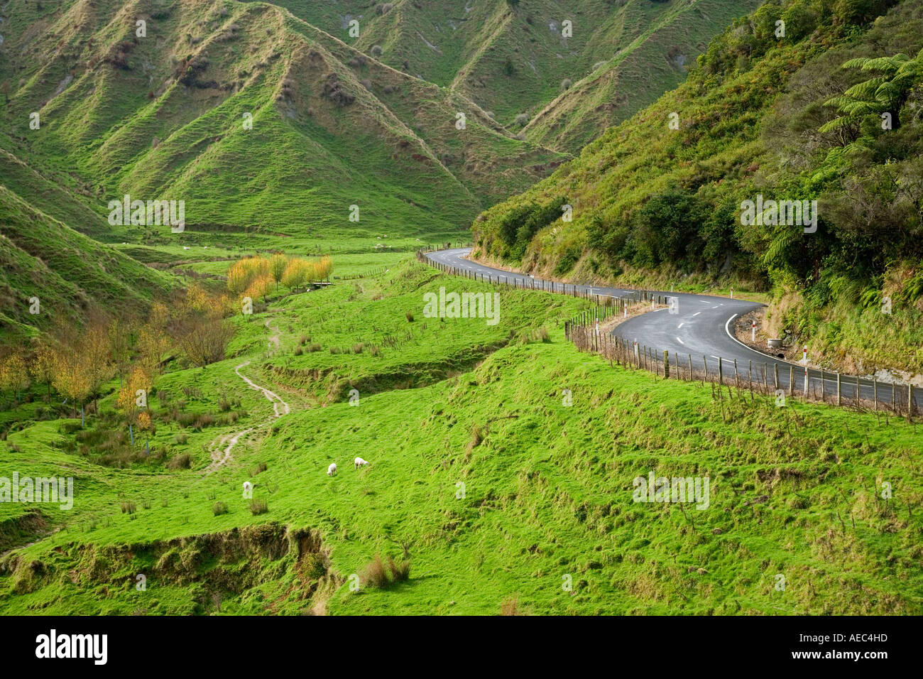 Taumarunui hires stock photography and images Alamy