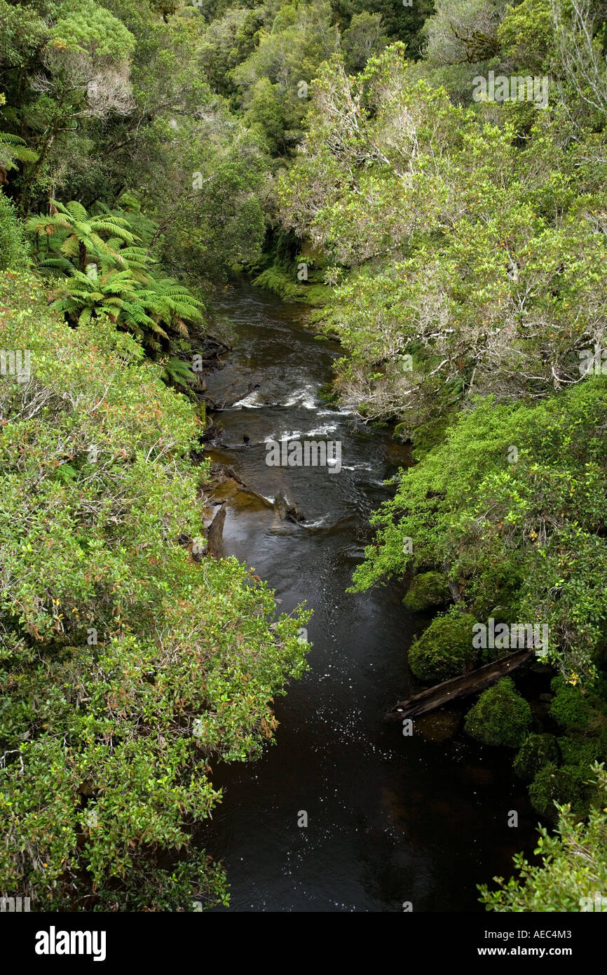 Tangarakau River Tangarakau World Highway King Country