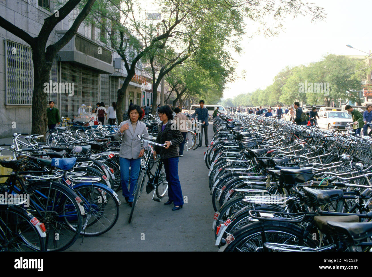Young women parking bicycle in crowded bicycle park Beijing China Stock Photo