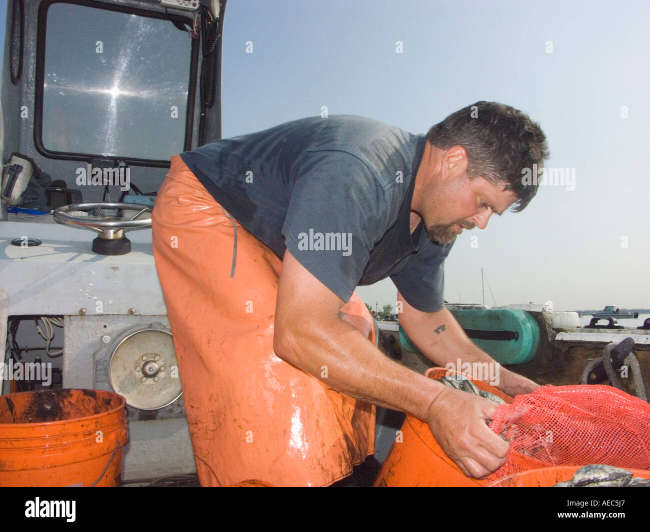 Quahog rhode island hires stock photography and images Alamy