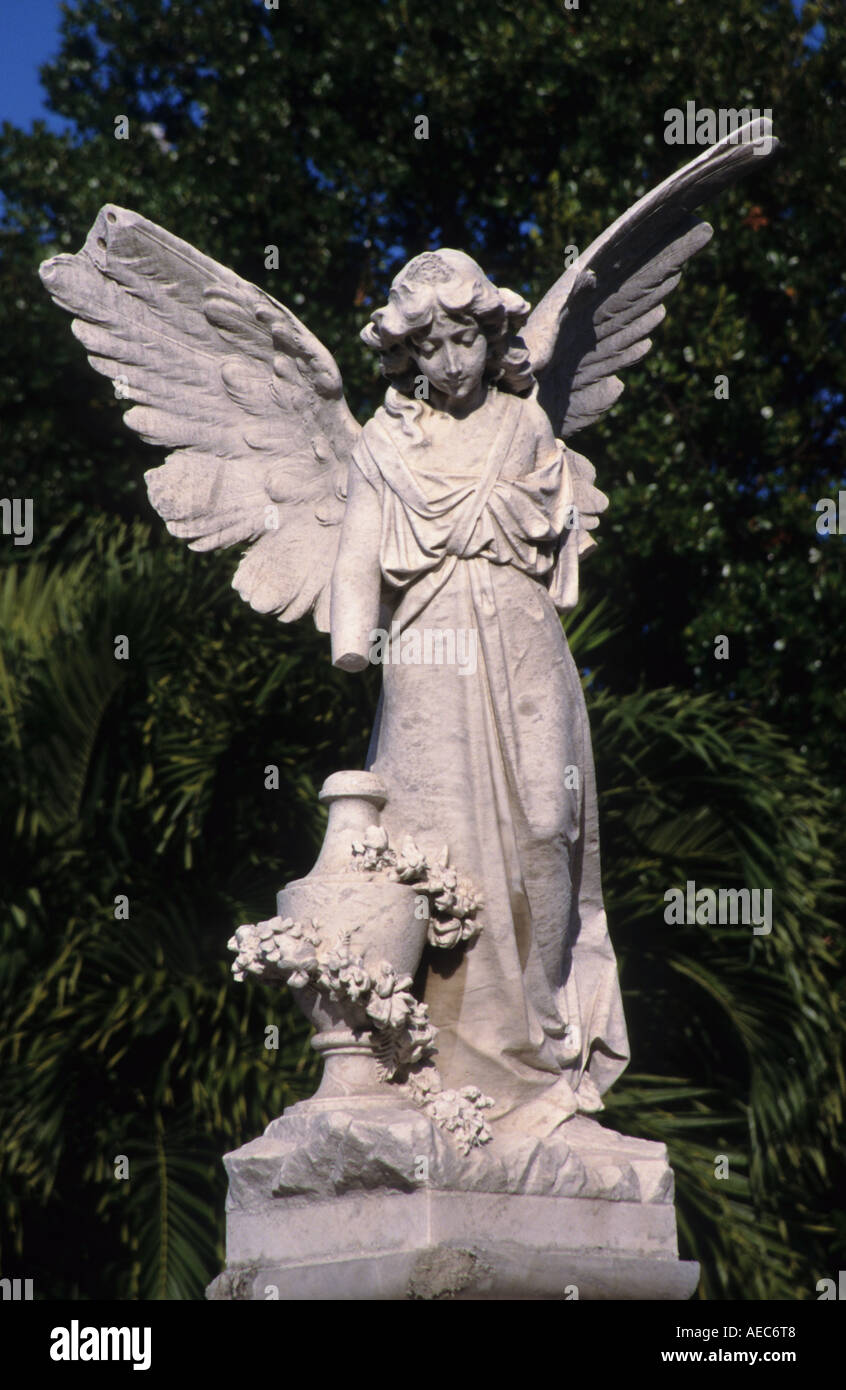 The Colon Cemetery or more fully in the Spanish language Cementerio de