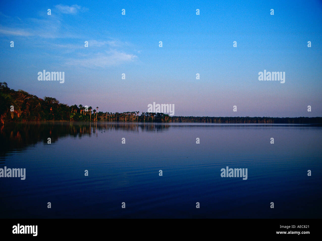 Lake Sandoval Peruvian Rainforest South America Stock Photo - Alamy