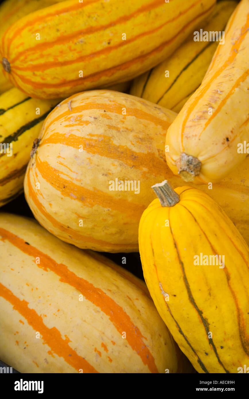 squash for sale at Farmers Market Solvang Santa Ynez Valley California Stock Photo