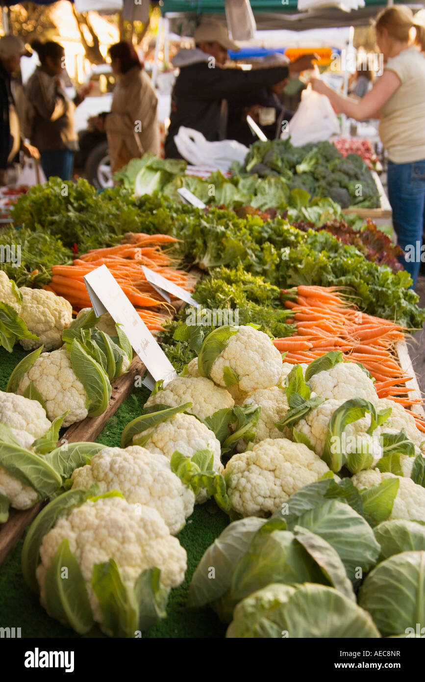 shoppers purchase produce and flowers at Farmers Market Solvang Santa Ynez Valley California Stock Photo