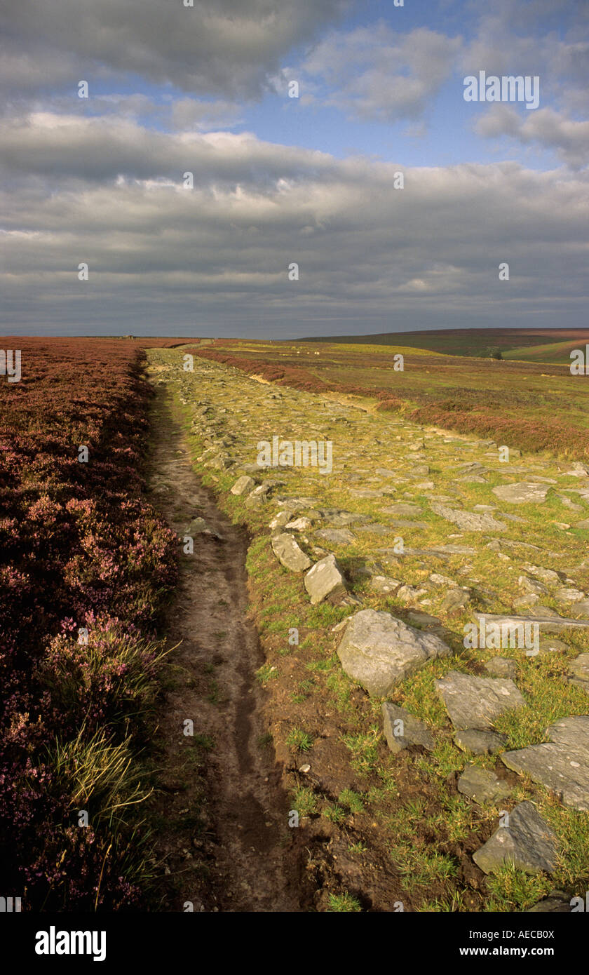 A preserved section of Roman road on Wheeldale Moor, North York Moors