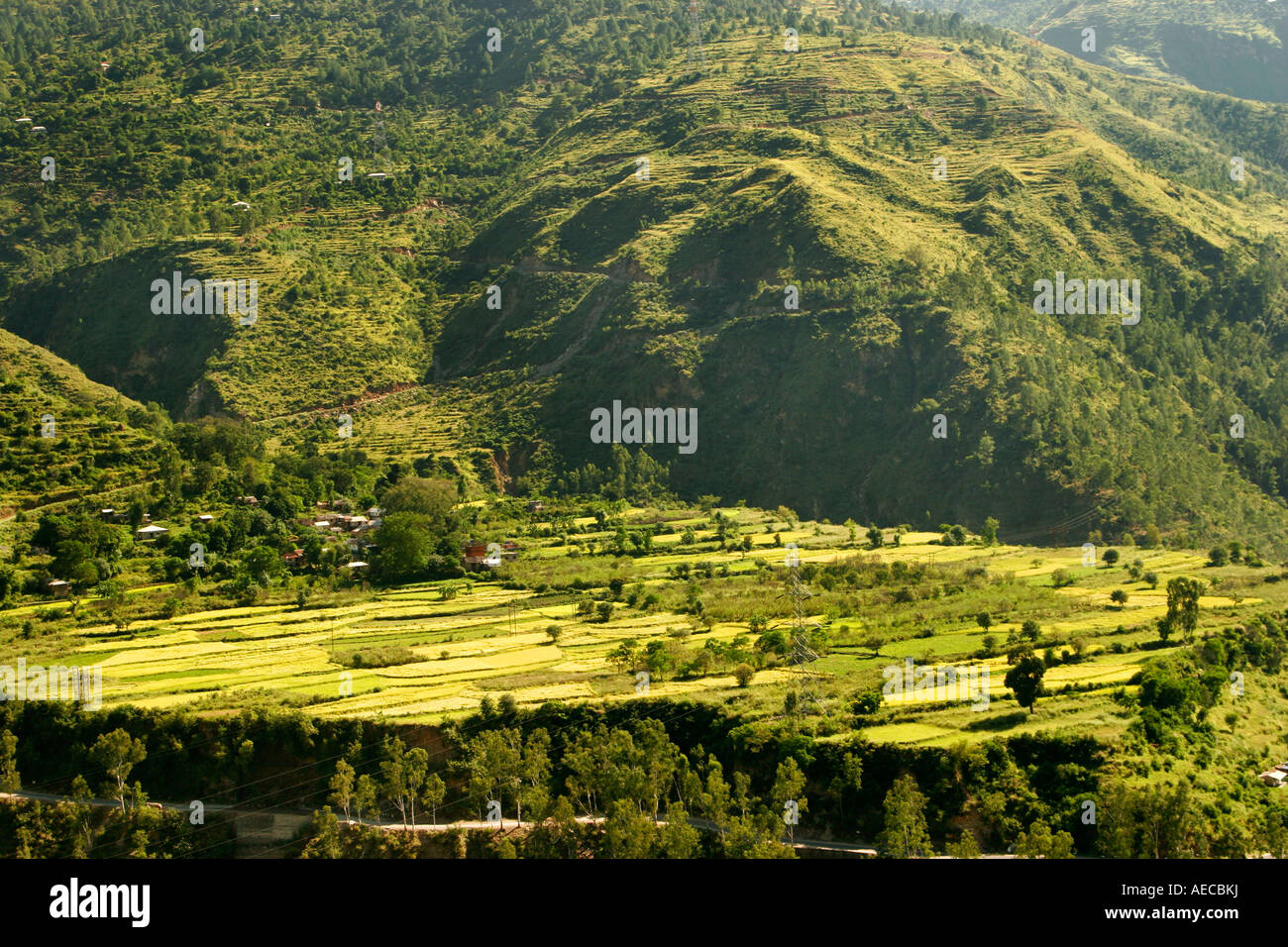 Rampur High Resolution Stock Photography and Images Alamy