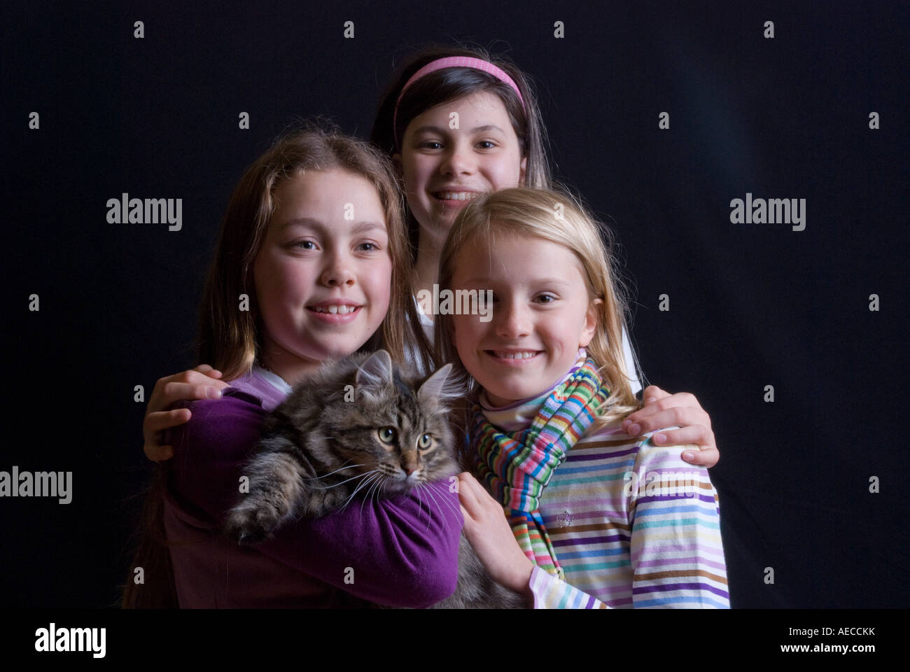 Three girl cousins from racially diverse background of Anglo/Chinese/Australian/Italian extraction with a pet cat Stock Photo