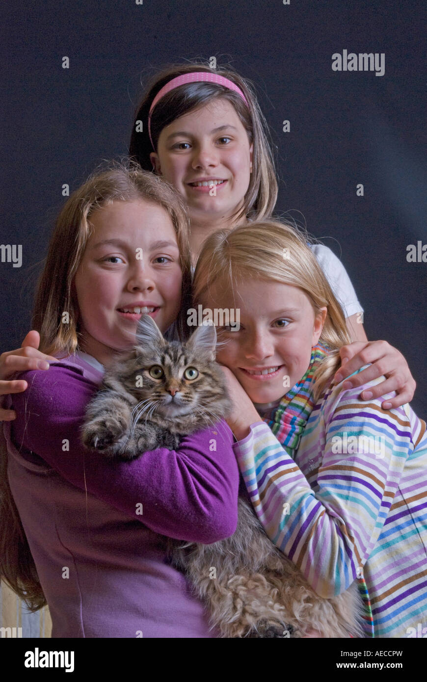 Three girl cousins from racially diverse background of Anglo/Chinese/Australian/Italian extraction with a pet cat Stock Photo