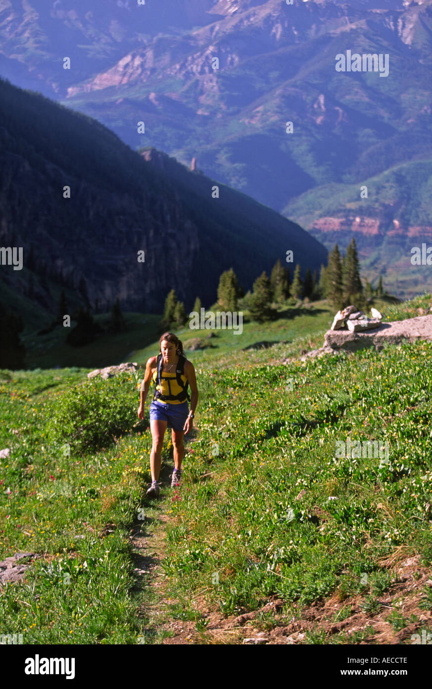 Hillaree O'Neill hiking the Wasatch trail high in Bear Creek canyon above Telluride, Colorado Stock Photo
