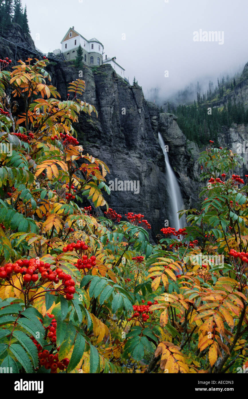 Mountain Ash Berries And Bridal Veil Falls Near Telluride Colorado Stock Photo Alamy