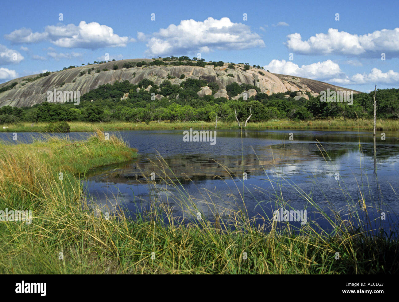 Moss Lake near granite dome of Enchanted Rock in Hill Country near Fredericksburg, Texas, USA Stock Photo