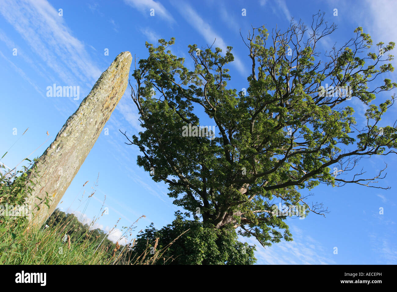 Parkmill Cross Slab. A carved standing stone near Alloa, Clackmannanshire. Stock Photo