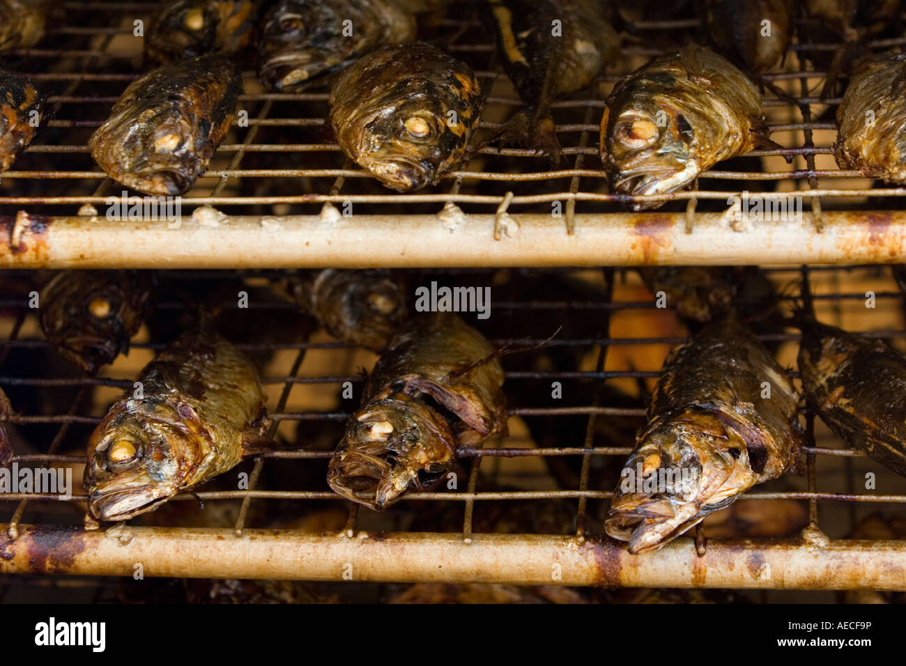 Fish being smoked in special oven Ghana Africa Stock Photo Alamy