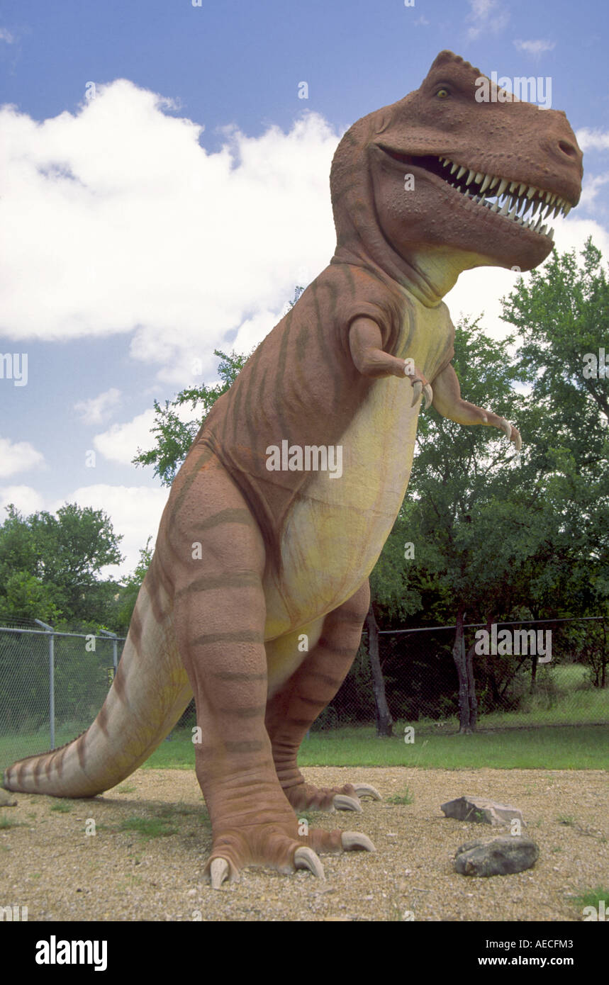 Tyrannosaurus Rex, fiberglass model, at Dinosaur Valley State Park, Texas, USA Stock Photo