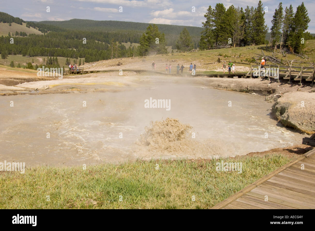 bubbling water at yellowstone national park Stock Photo