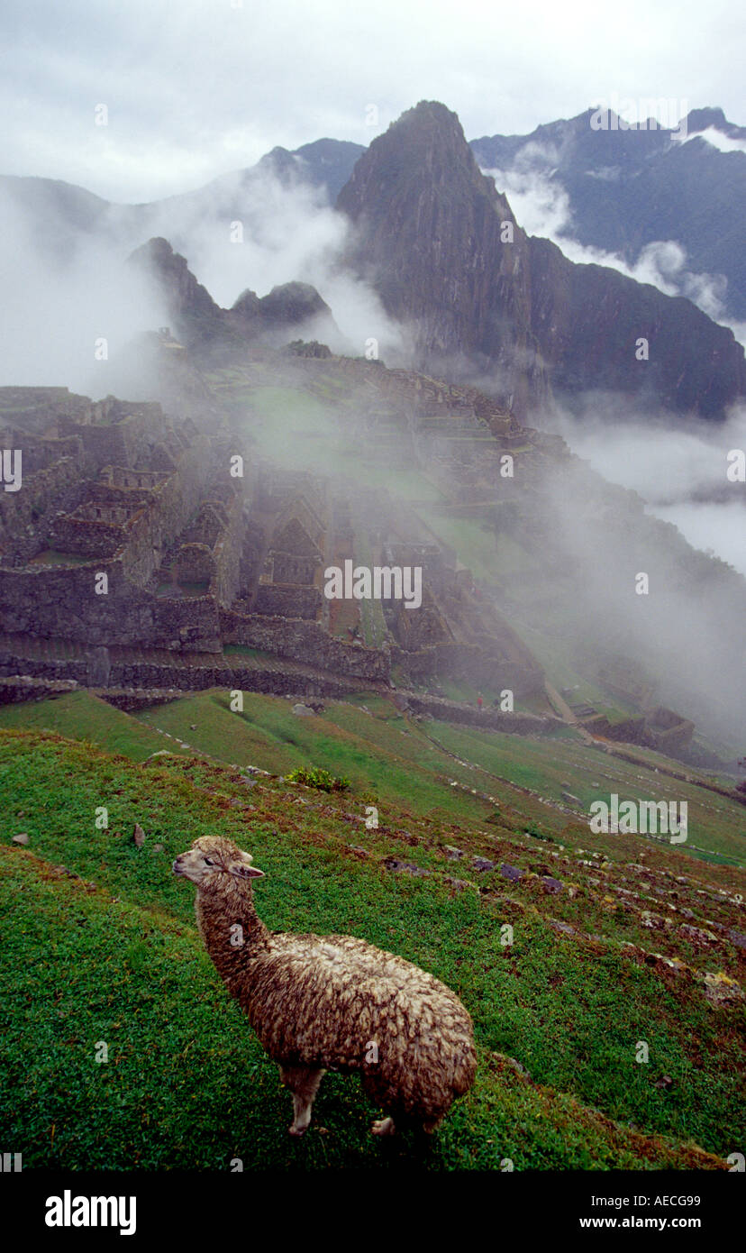 Machu picchu peru classic view hi-res stock photography and images - Alamy
