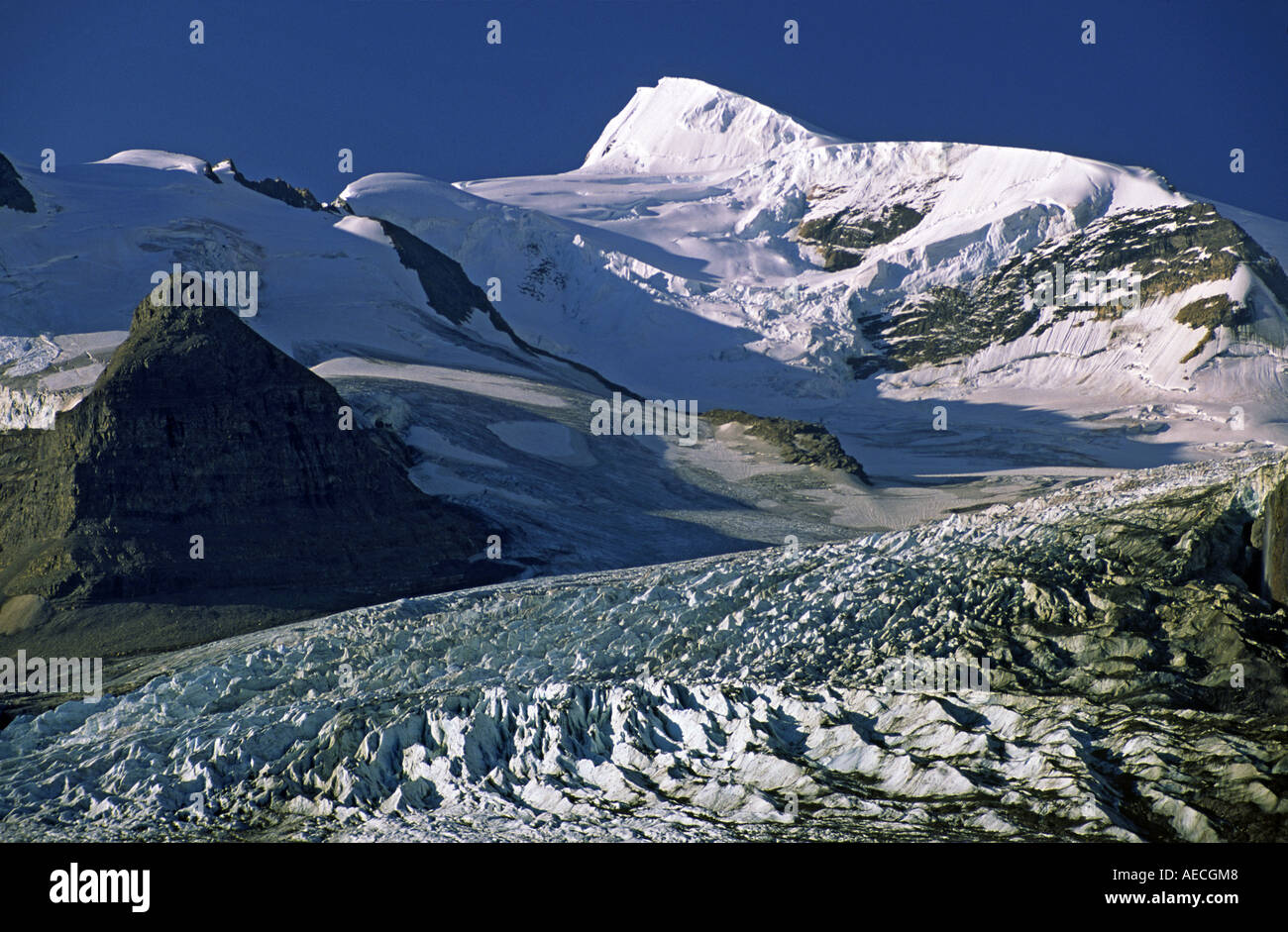 Robson Glacier, Resplendent Mtn, from Snowbird Pass Trail, Mount Robson Provincial Park, Rocky Mts, British Columbia, Canada Stock Photo