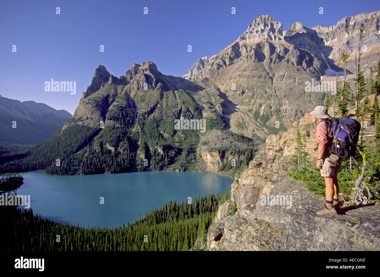 Wiwaxy Peaks in center, Mt Huber on right, Lake O Hara, hiker, Rocky Mts, Yoho Nat Park, British Columbia, Canada Stock Photo