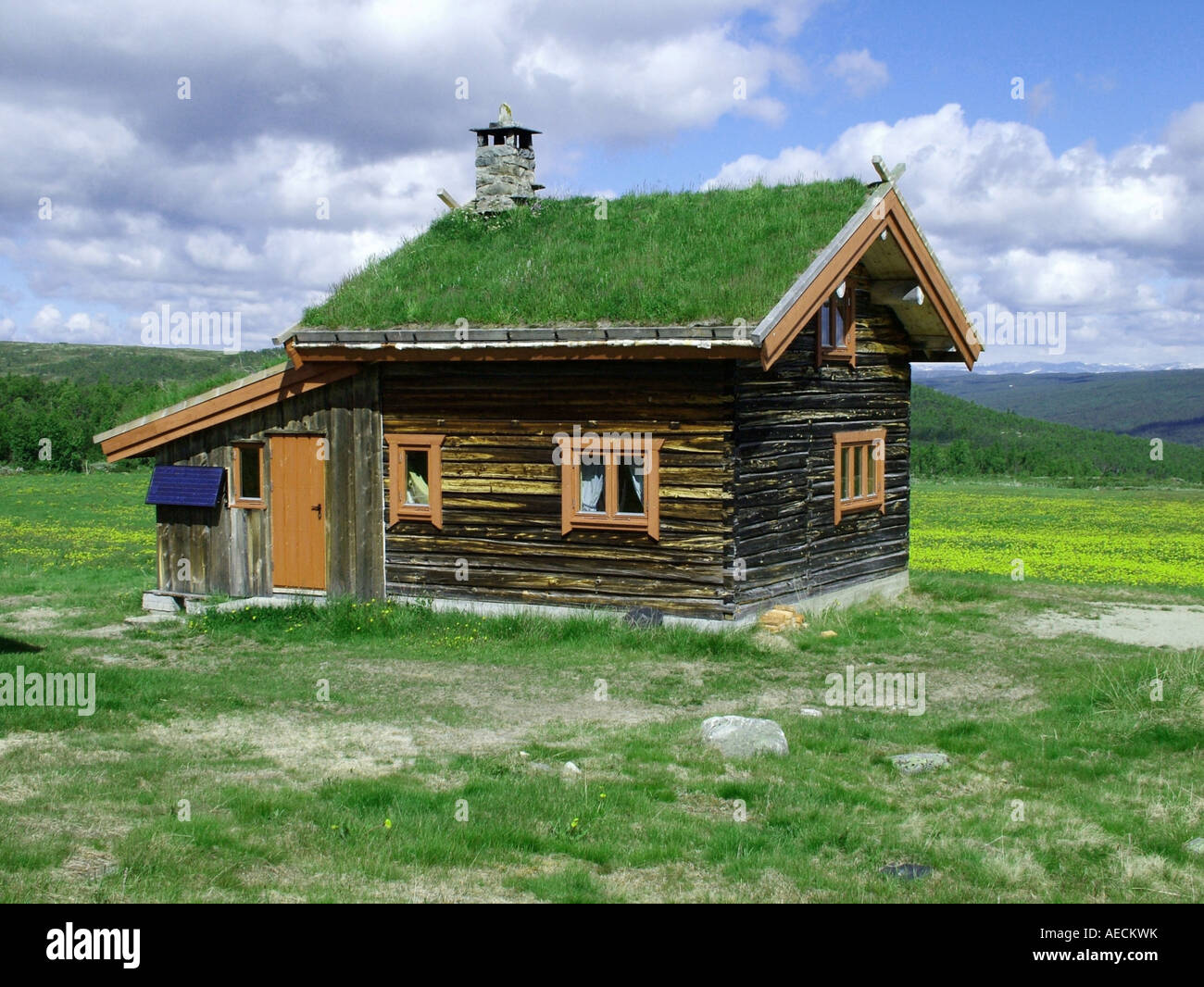 wooden hut with grass roof, Norway, Uvdal Stock Photo - Alamy