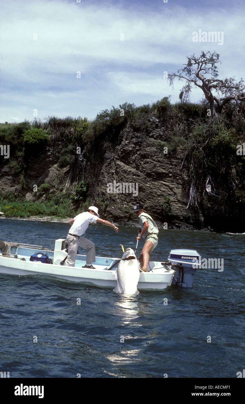 Two anglers landing a huge 55 kg 121 pound Nile Perch using a gaff Lake Victoria Kenya East Africa Stock Photo