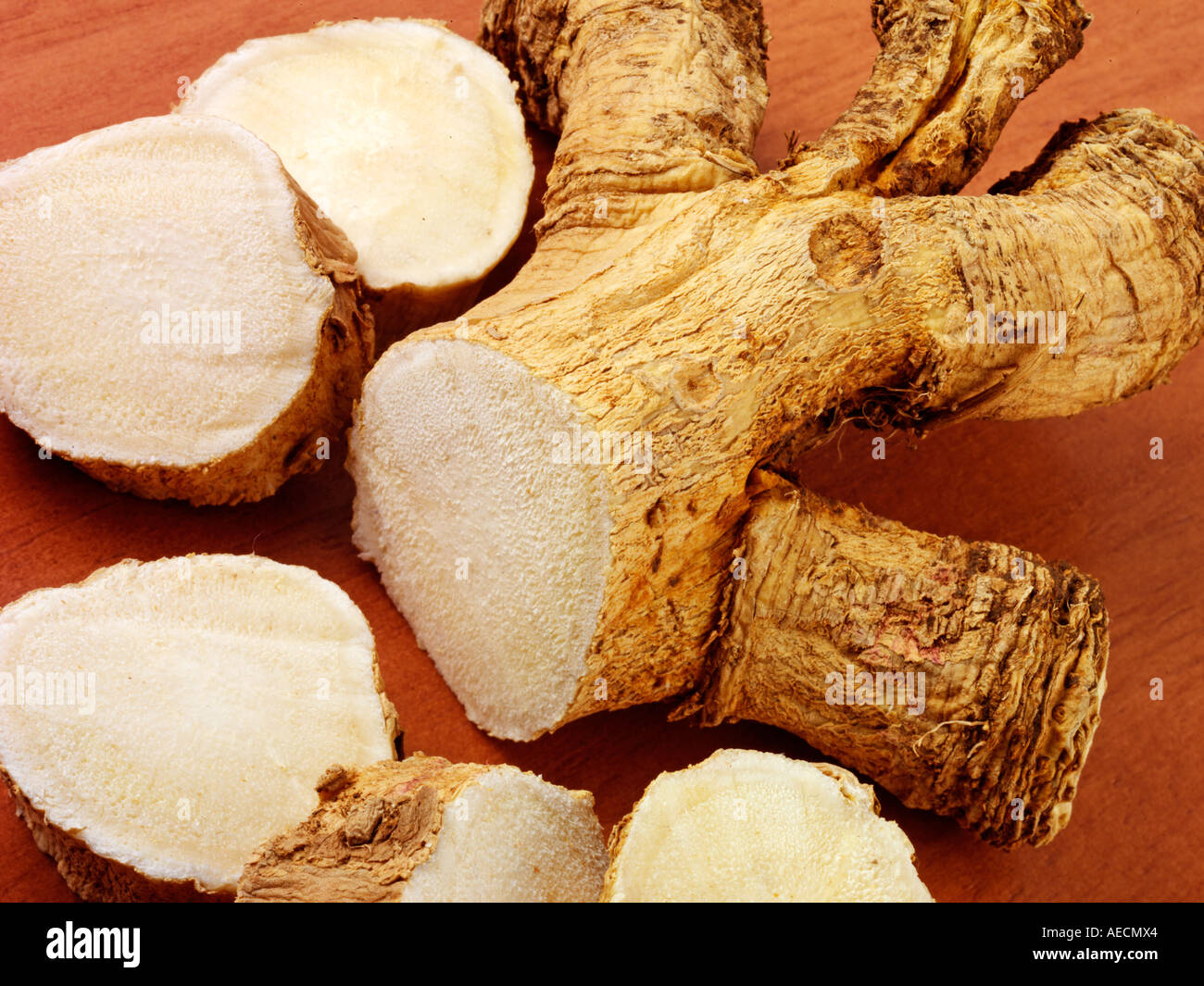 HORSERADISH ROOT Stock Photo Alamy
