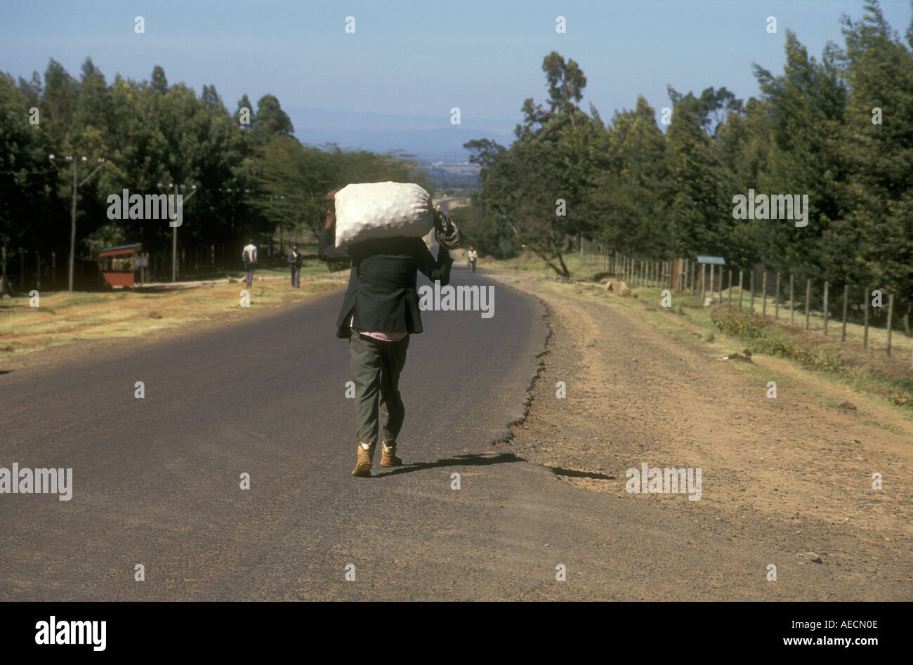 Man carrying sack of potatoes along the road Near Timau Kenya East Africa Stock Photo