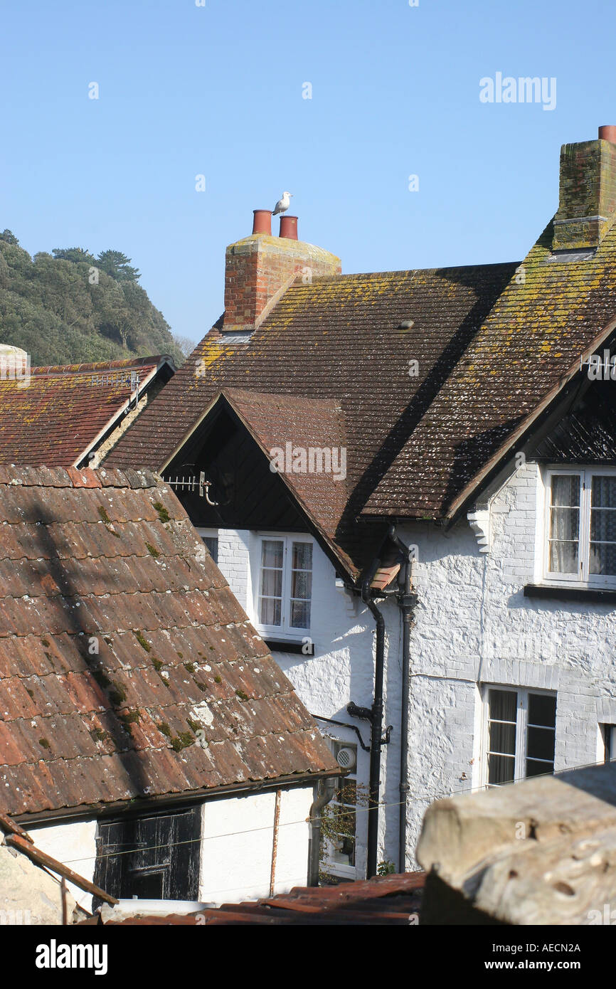 Houses Beer Somerset Stock Photo Alamy