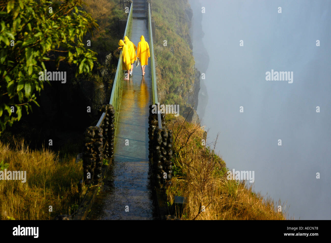 Bridge over Knife s Edge above the Boiling Pot and Eastern cataract of Victoria Falls World heritage site Stock Photo