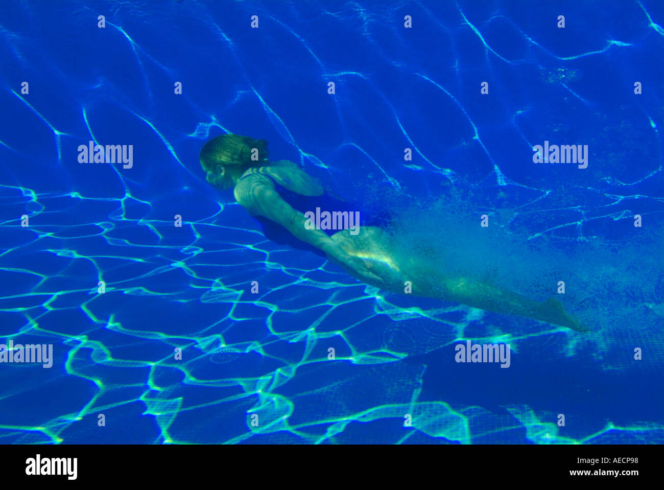 woman swimming in outdoor swimming pool from underwater Stock Photo - Alamy