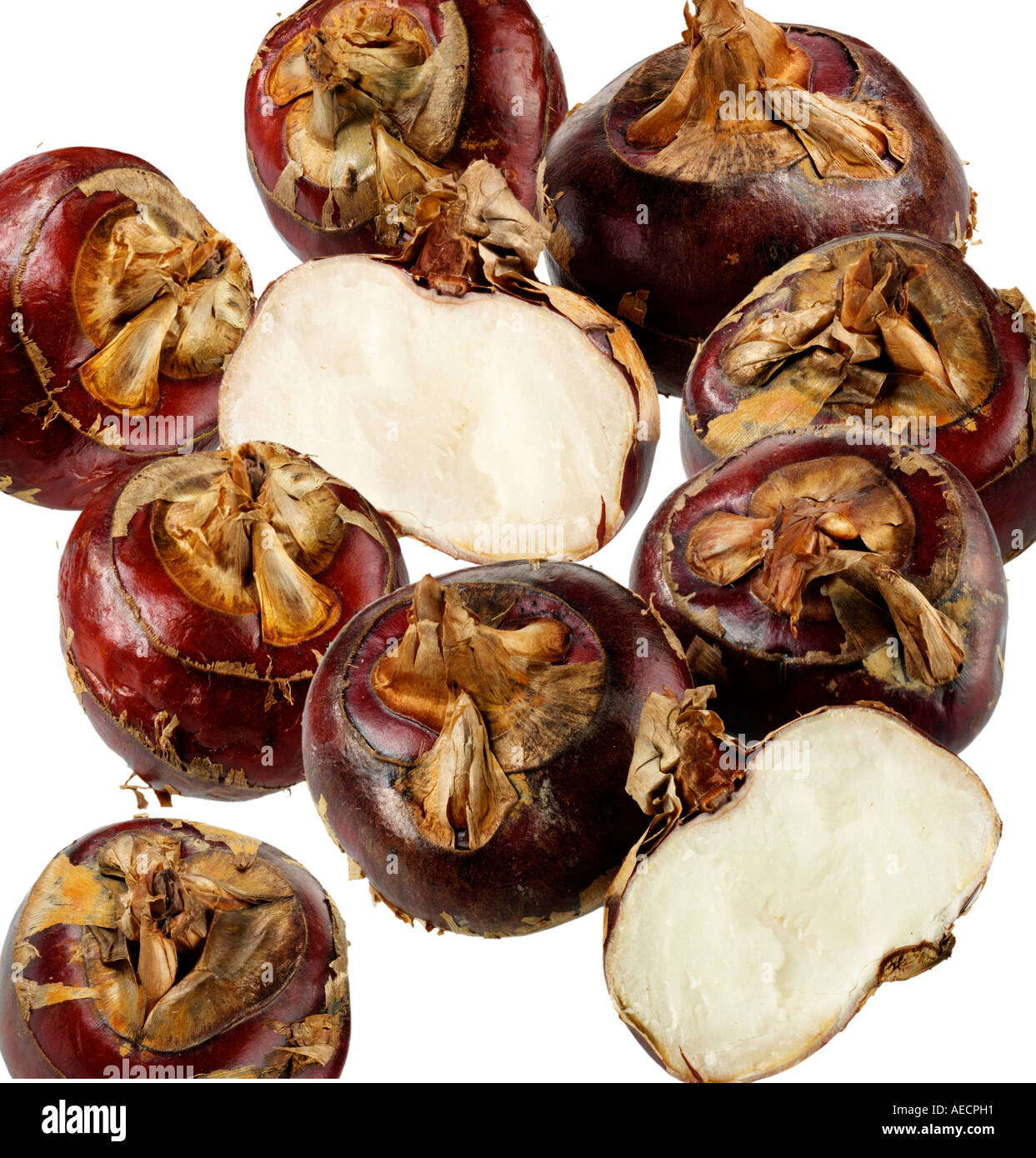 Water chestnuts hi-res stock photography and images - Alamy
