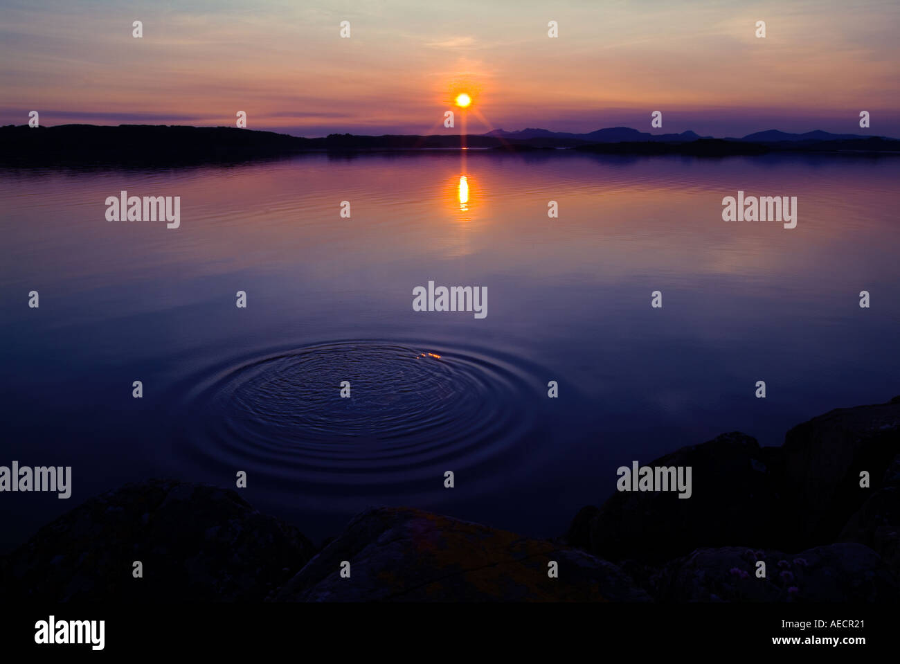 ripples in still water as the sun is setting Stock Photo - Alamy
