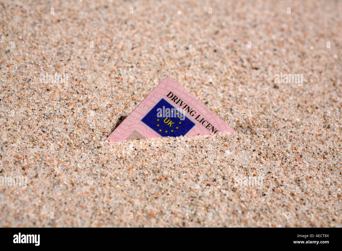 UK driving licence buried in sand Stock Photo