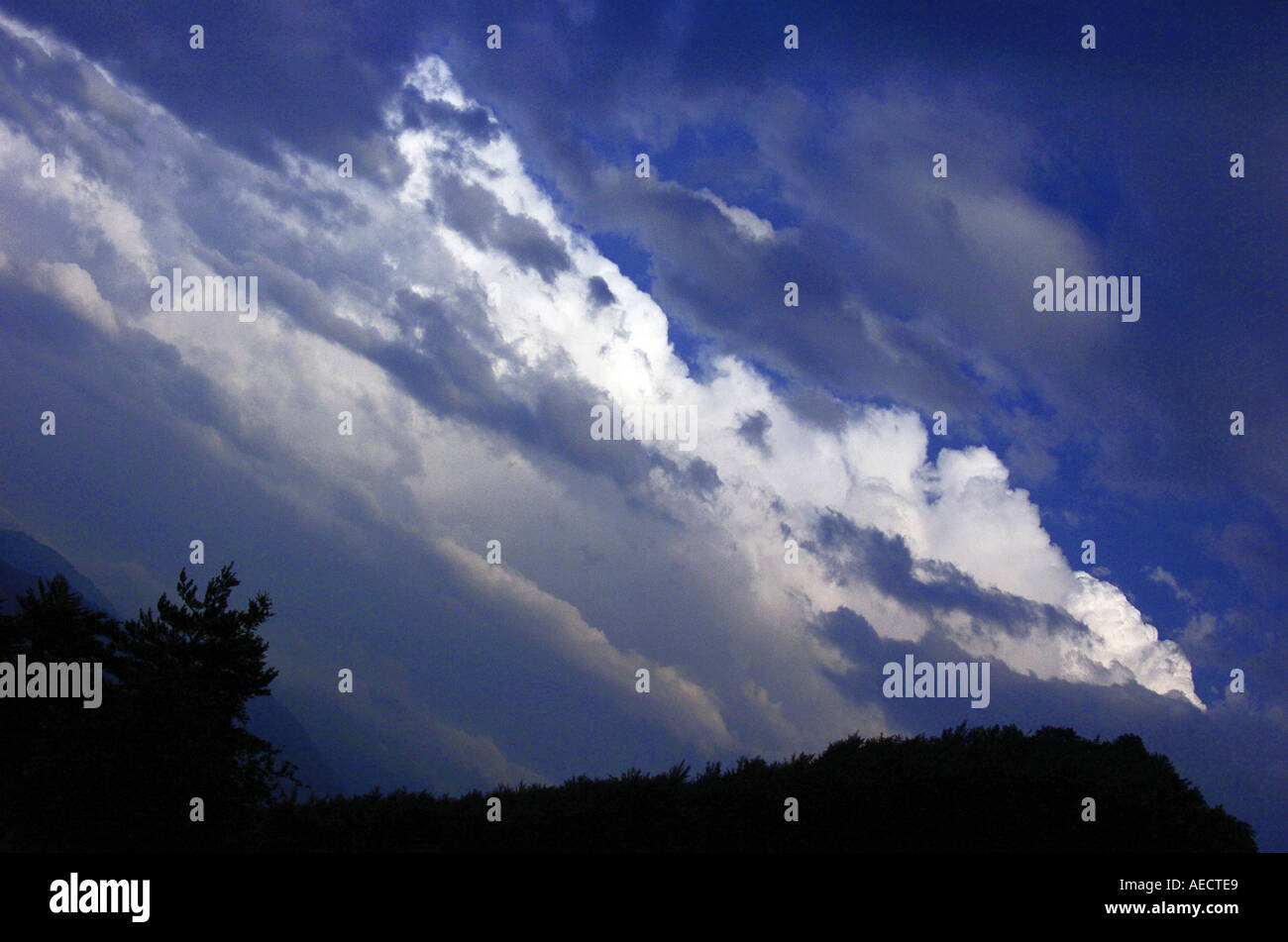 landscape, Rodopi mountain, Bulgaria Stock Photo - Alamy