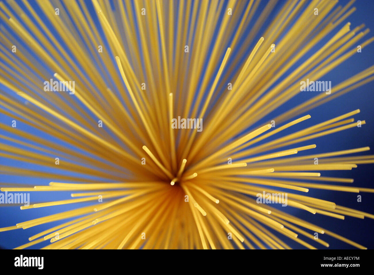 Spaghetti Stock Photo