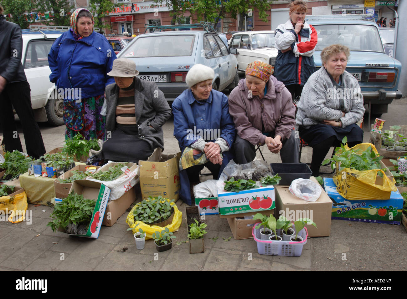 Women selling plants at a Market in Irkutsk, Siberia. Russia Stock ...