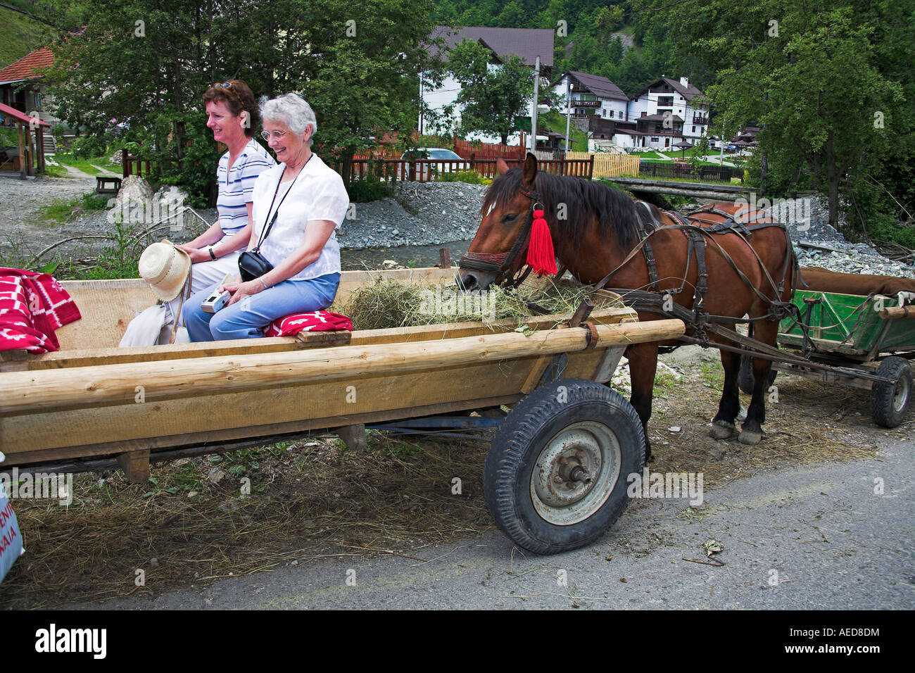 Tourists sitting in horse drawn cart, Moieciu De Sus, near Bran and