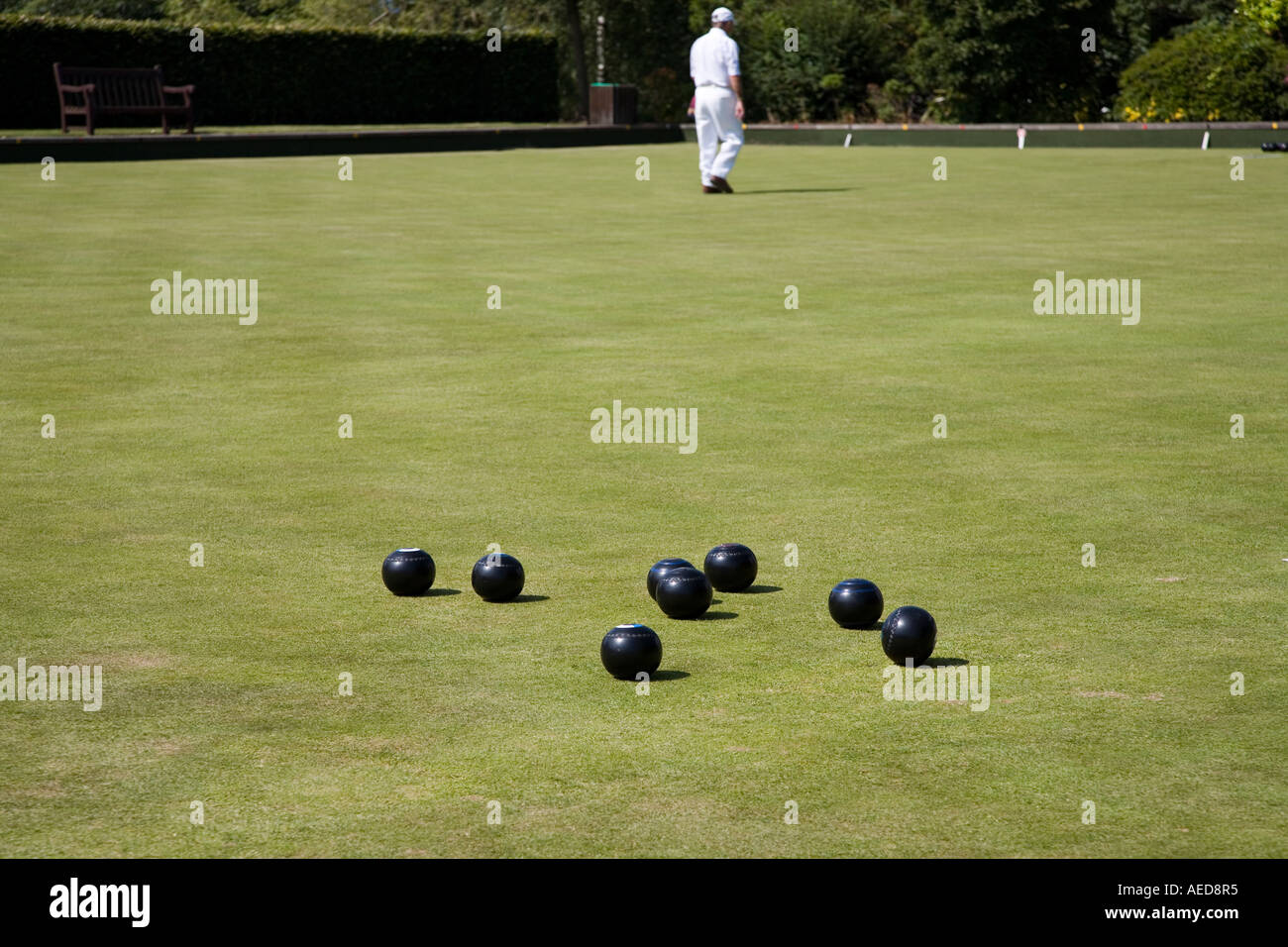 Man walking the length of the green at a bowls match Cardiff Wales UK Stock Photo